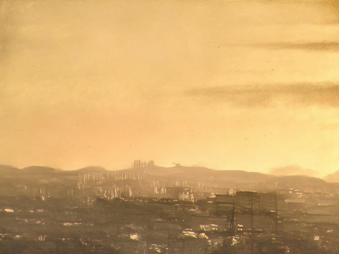 菏泽地区中药材种植与地方药膳文化，如何平衡传统与现代？