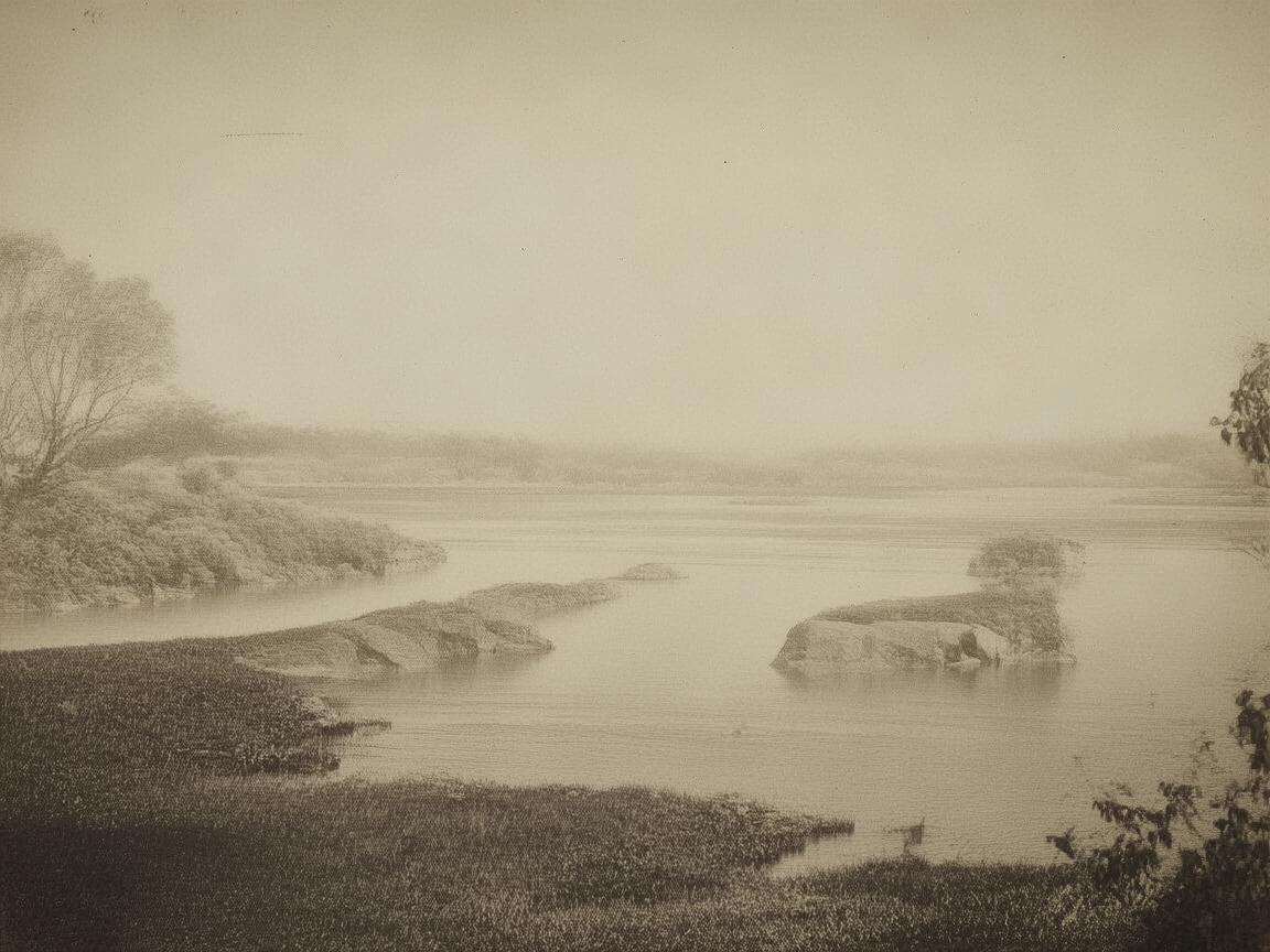 观光火车与医院，安全用药的意外交集